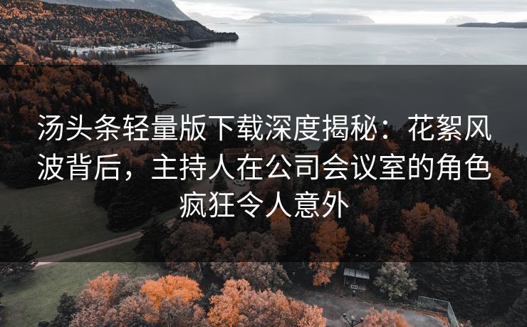 汤头条轻量版下载深度揭秘：花絮风波背后，主持人在公司会议室的角色疯狂令人意外