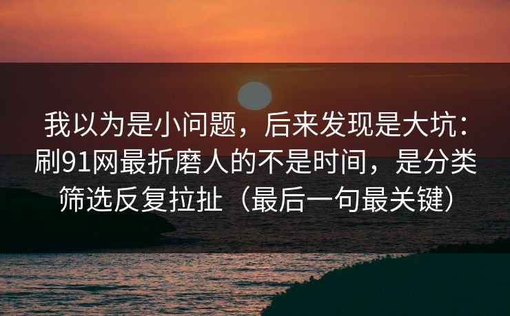 我以为是小问题，后来发现是大坑：刷91网最折磨人的不是时间，是分类筛选反复拉扯（最后一句最关键）