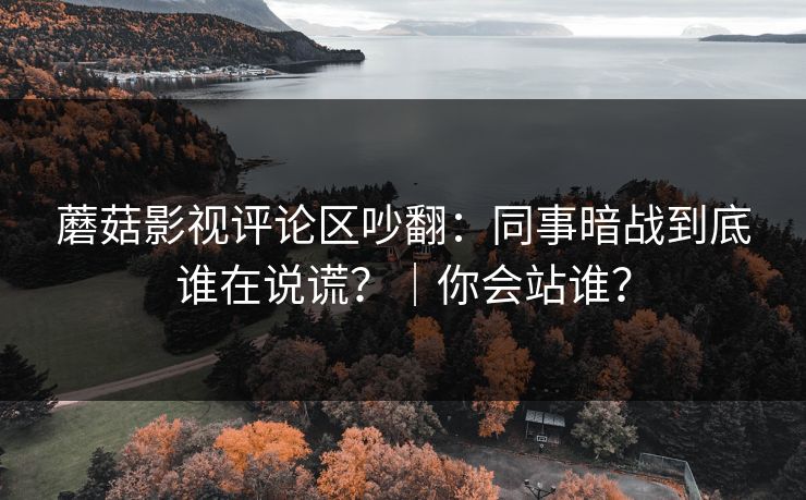 蘑菇影视评论区吵翻：同事暗战到底谁在说谎？｜你会站谁？